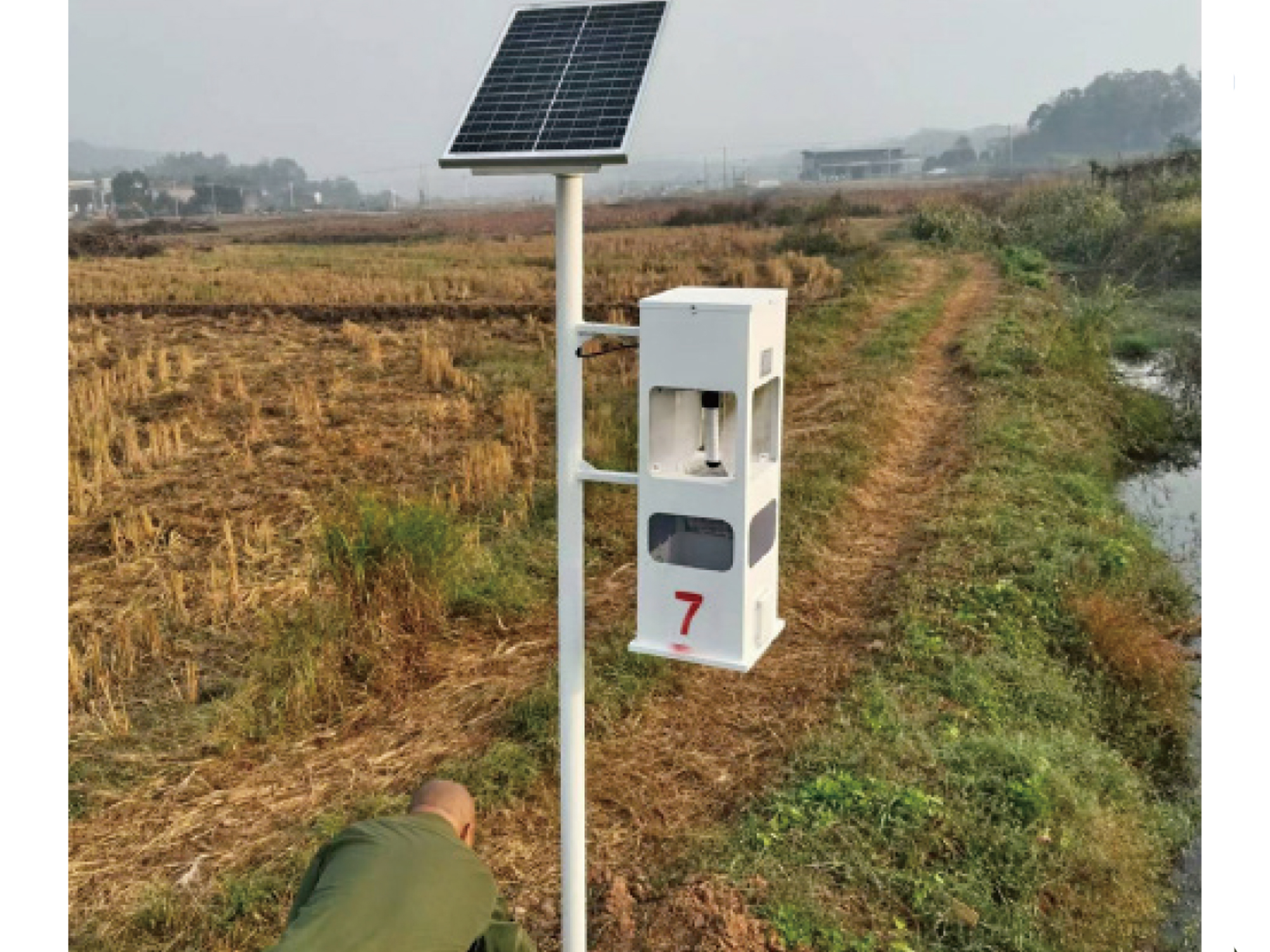 雨湖区高标准农田建设杀虫科技项目.jpg